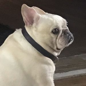 Meet your Posher, Clinton